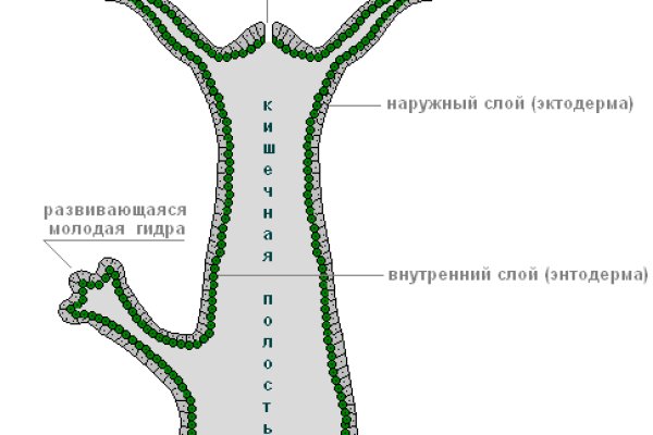 Кракен зеркала официальные