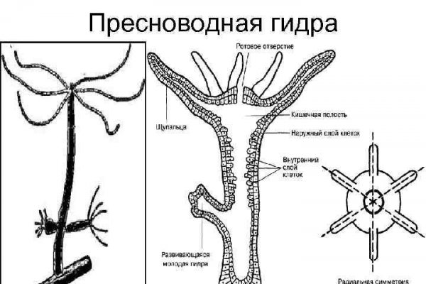 Ссылка на кракен площадка